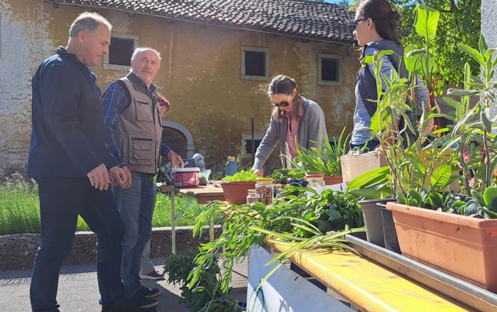 pomladni-rast-v-senozecah-