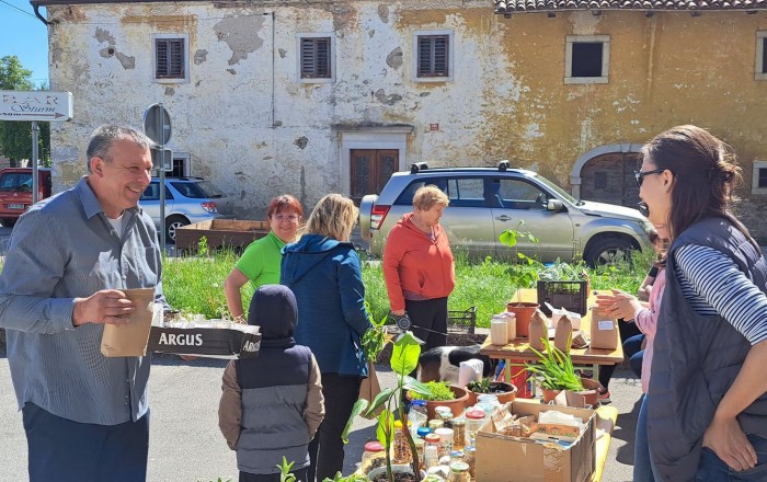 pomladni-rast-v-senozecah-