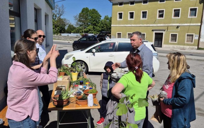 pomladni-rast-v-senozecah-