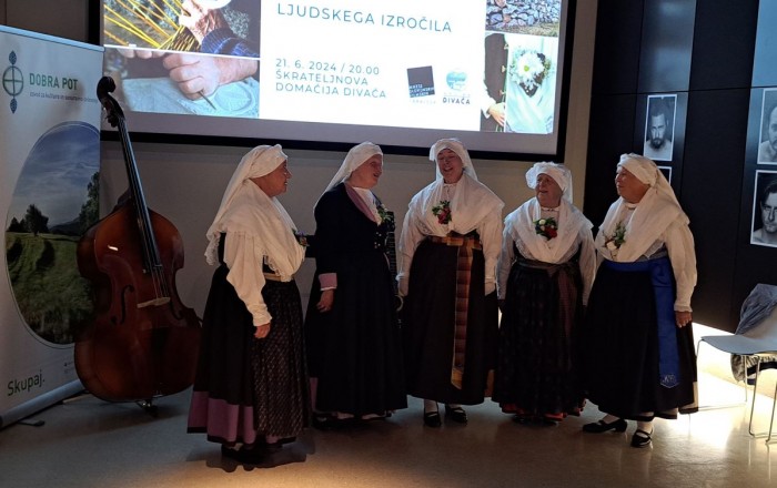 filmsko-glasbeni-divaca-