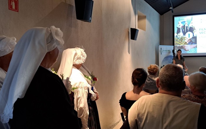 filmsko-glasbeni-divaca-