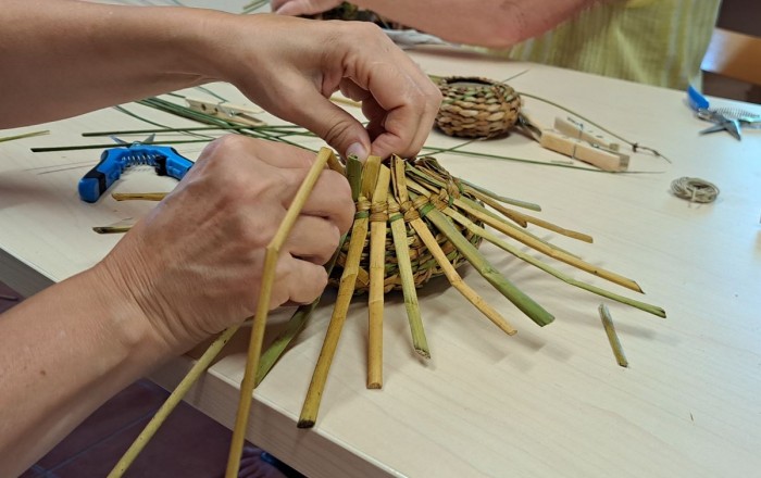 delavnica-pletenja-iz-locja-