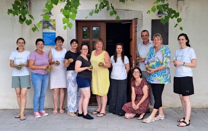 delavnica-pletenja-iz-locja-