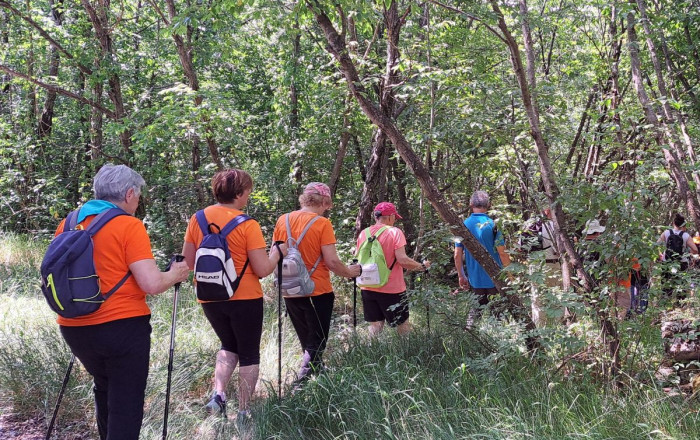 pohod-na-veliko-gradisce-