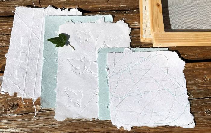 trajno-skladno-divaca-2025-