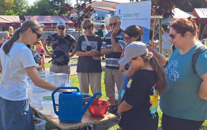 trajno-skladno-koscki-morja-