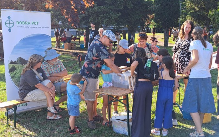 trajno-skladno-koscki-morja-