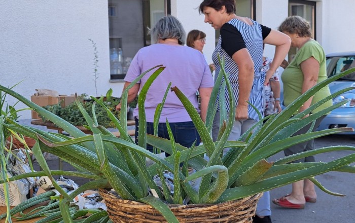 jesenski-rast-plus-2025-