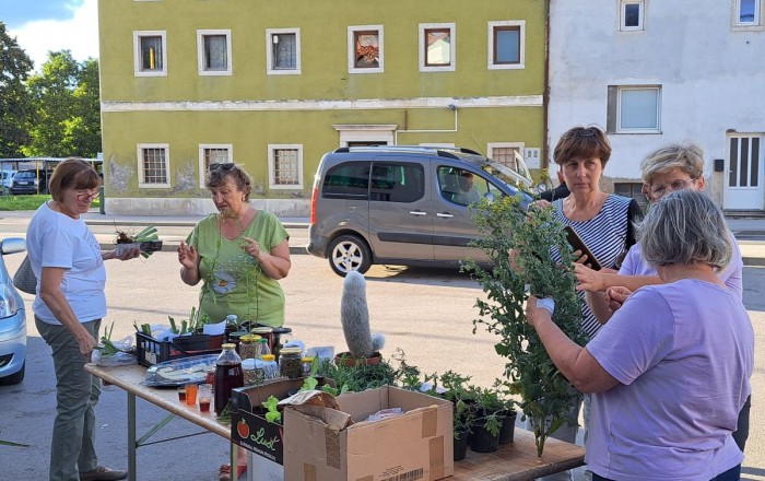 jesenski-rast-plus-2025-