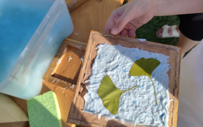 trajno-skladno-v-divaci-