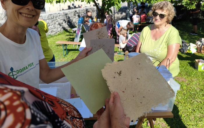 trajno-skladno-v-divaci-