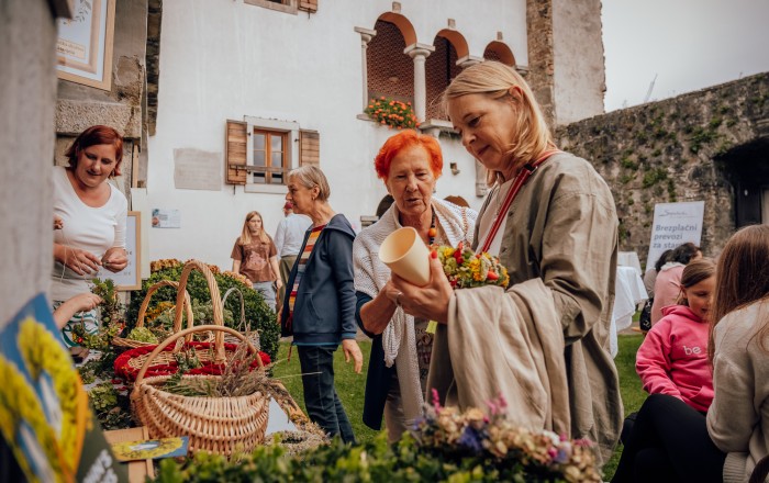 izrocilo-cicarije-na-gradu-prem-