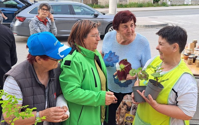 pomladni-rast-2026-