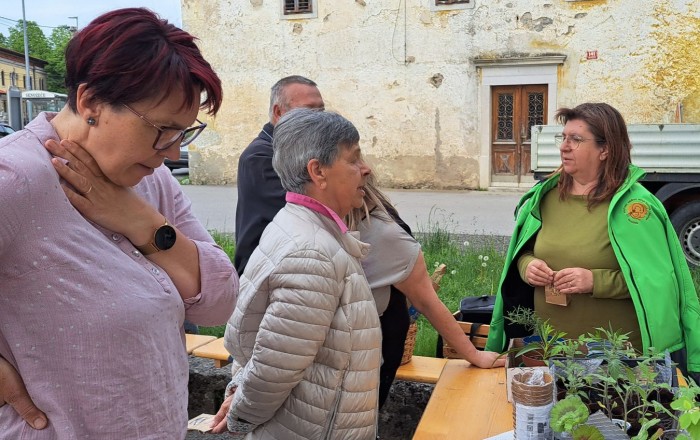 pomladni-rast-2026-