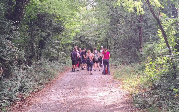 pokrajina-prednikov-vremska-dolina-