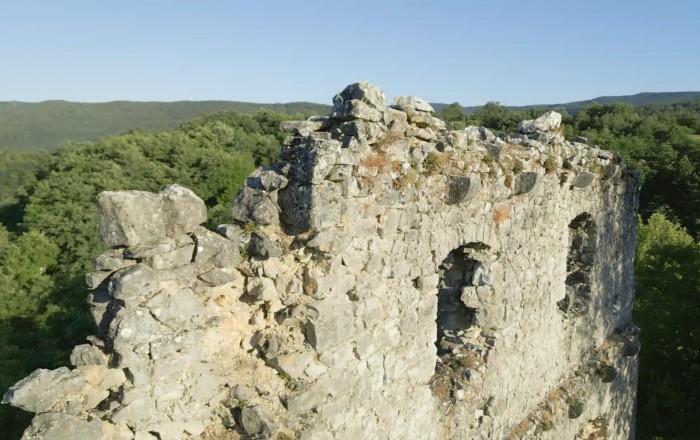 dozivetja-v-srediscu-izrocila-