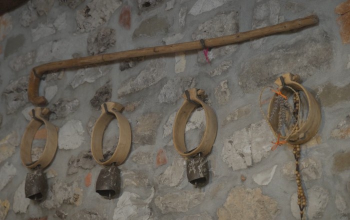 dozivetja-v-srediscu-izrocila-